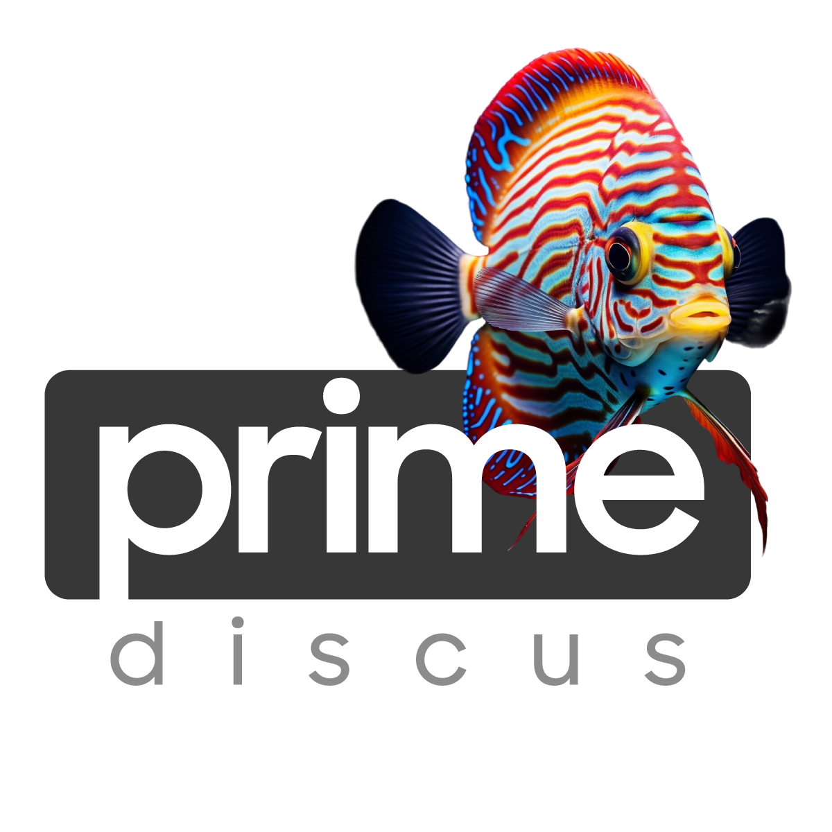 Prime Discus